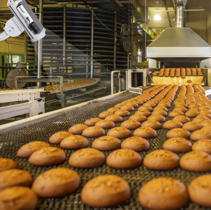 Automatic bakery production line with sweet cookies on conveyor belt equipment machinery in confectionary factory workshop, industrial food production